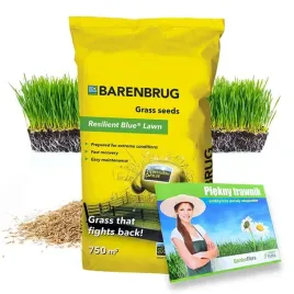 trawa-uniwersalna-barenbrug-resilent-blue-lawn-na-ekstremalne-warunki-10kg