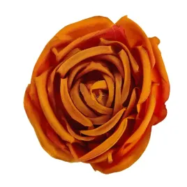 roza-wyr-orange-brown