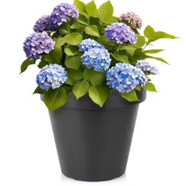doniczka-donica-duza-ogrodowa-plastikowa-czarna-okragla-vilde-35-x-39-cm