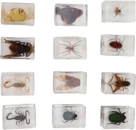 12-okazow-owadow-z-zywicy-realistyczna-kolekcja-do-nauki-biologii