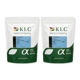 gorczyca-biala-gracja-na-poplon-1kg-2kg-nasiona-kwalifikowane-c1-klc