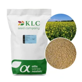 gorczyca-biala-gracja-na-poplon-1kg-5kg-nasiona-kwalifikowane-c1-klc