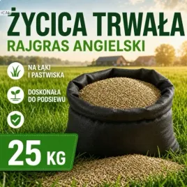 zycica-trwala-poplonowa-25-kg-na-laki-pastwiska-i-do-podsiewu