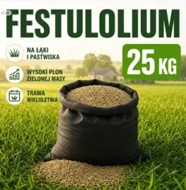 festulolium-poplonowa-25-kg-trawa-wieloletnia-na-laki-pastwiska-zielonke