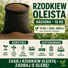 rzodkiew-oleista-nasiona-10-kg-poplon-scierniskowy-zielony-nawoz