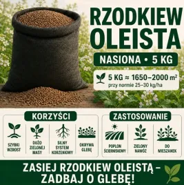 rzodkiew-oleista-nasiona-5-kg-poplon-scierniskowy-zielony-nawoz