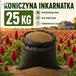 koniczyna-inkarnatka-poplonowa-25-kg-miododajna-zielony-nawoz-nasiona