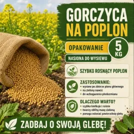 gorczyca-na-poplon-5-kg-szybki-wzrost-zielony-nawoz-nasiona-do-siewu