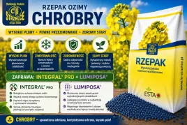rzepak-strzelce-chrobry-buteo-star-scenic-gold