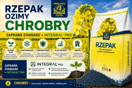 rzepak-ozimy-chrobry-zaprawa-scenic-gold