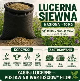 lucerna-siewna-nasiona-10-kg-wieloletnia-na-zielonke-i-siano