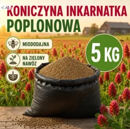 koniczyna-inkarnatka-poplonowa-opakowanie-5-kg