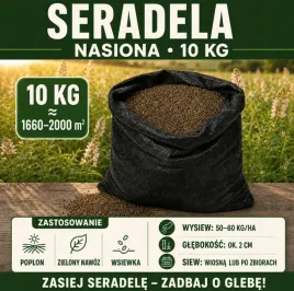 seradela-10-kg-nasiona-na-poplon-i-zielony-nawoz