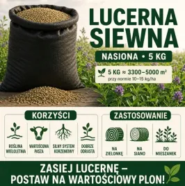 lucerna-siewna-nasiona-5-kg-wieloletnia-na-zielonke-i-siano