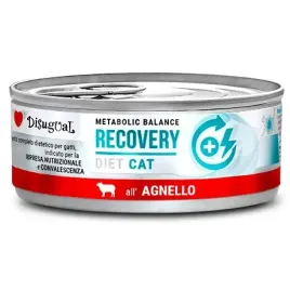 disugual-kot-recovery-jagniecina-85g-mokra-karma-dla-kota
