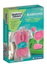 mala-anatomia-cialo-czlowieka-naukowa-zabawa-clementoni