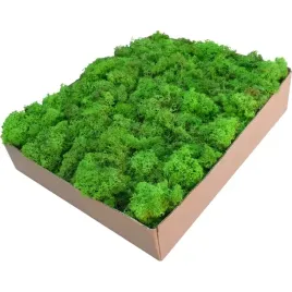skrawki-mech-chrobotek-jasnozielony-karton-1kg