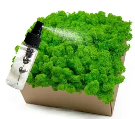 mech-odzywka-chrobotek-500-0-5kg-czysty-zielony-box-odzywka-gratis
