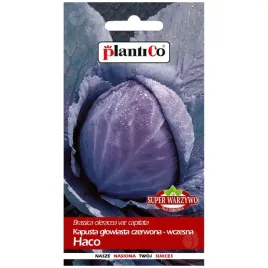 kapusta-glowiasta-haco-nasiona-1g-plantico