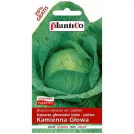 kapusta-glowiasta-kamienna-glowa-nasiona-24g-plantico