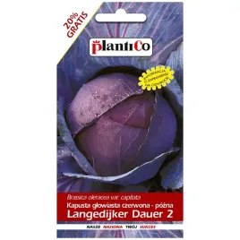 kapusta-glowiasta-langedijker-dauer-nasiona-24g-plantico