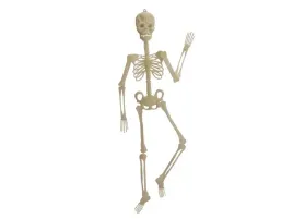 fluorescencyjny-szkielet-halloween-150-cm