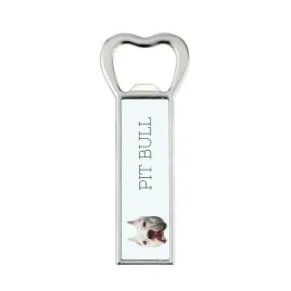 amerykanski-pitbulterier-pit-bull-american-pit-bull-terrier-pitbul-apbt