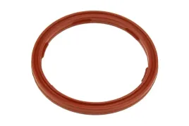 uszczelka-czujnika-poziomu-oleju-bmw-5-e39-2000-2001-2002-2003