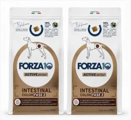 forza10-active-vet-diet-intestinal-colon-fase-2-zapalenie-jelit-2x4kg