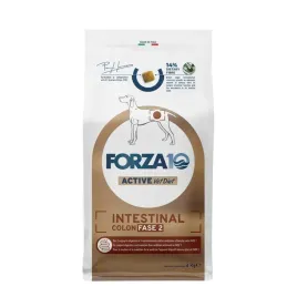 forza10-active-vet-diet-intestinal-colon-fase-2-4kg-data-11-2026