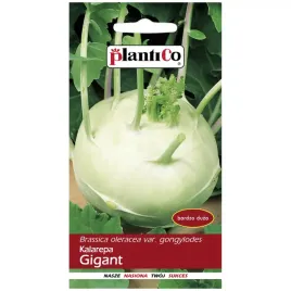 kalarepa-gigant-nasiona-2g-plantico