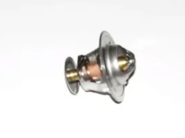 1447384m1-termostat-2485613-2485605