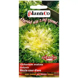 endywia-riccia-cour-d-oro-nasiona-02g-plantico
