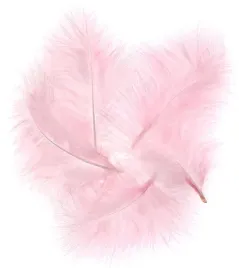 piorka-indycze-dekoracyjne-15-cm-5-sztuk-piora-scrapbooking-dpcraft-rozowe