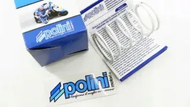 sprezyna-sprzegla-polini-evolution-piaggio-quartz