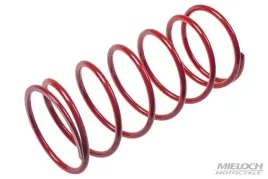 sprezyna-centralna-sprzegla-malossi-piaggio-sfera-zip-gilera-aprilia-50