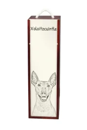 nagi-pies-meksykanski-bezwlosy-pies-aztekow-xoloitzquintle-pudelko-na-w