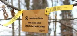 tabliczka-ogrodowa-zawieszka-znacznik-sklejka-drewniana-grawer-laserowy