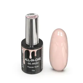 excellent-pro-all-in-one-gel-brush-popular-nude-11g