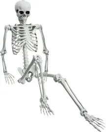szkielet-czlowieka-szkieletor-kosciotrup-czaszka-dekoracja-halloween