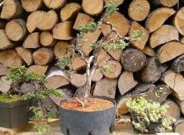 euro-akadama-ziemia-do-bonsai-20-kg-40l-5-12-mm