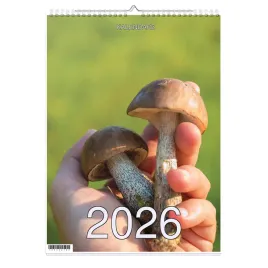 kalendarz-2026-a3-13-stronny-scienny-swieta-jmp-grzyby4-1d-00352