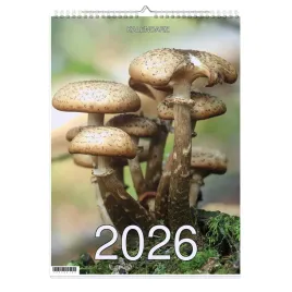 kalendarz-2026-a3-13-stronny-scienny-swieta-jmp-grzyby2-1d-00350