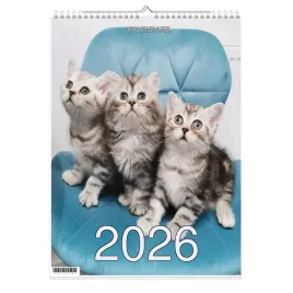 kalendarz-2026-a3-13-stronny-scienny-swieta-rmp-kotki-1d-00720
