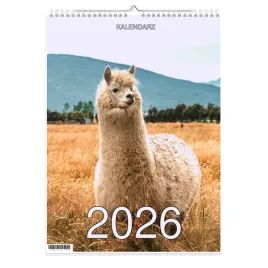 kalendarz-2026-a3-13-stronny-scienny-swieta-imp-lama-1d-00276