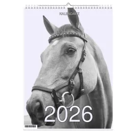 kalendarz-2026-a3-13-stronny-scienny-swieta-imp-konie-02-1d-00263