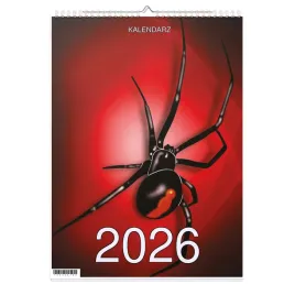 kalendarz-2026-a3-13-stronny-scienny-swieta-pajak-1d-00612