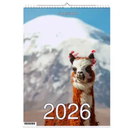 kalendarz-2026-a3-13-stronny-scienny-swieta-alpaka-1d-00004