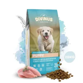 divinus-puppy-karma-sucha-dla-szczeniat-owczarek-labrador-witaminy
