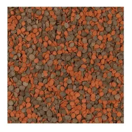 tropical-cichlid-color-chips-500g-pokarm-dla-ryb-z-malawi-tanganika-ca